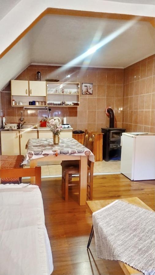 זבליאק Apartmani Bozana Vojinovic מראה חיצוני תמונה