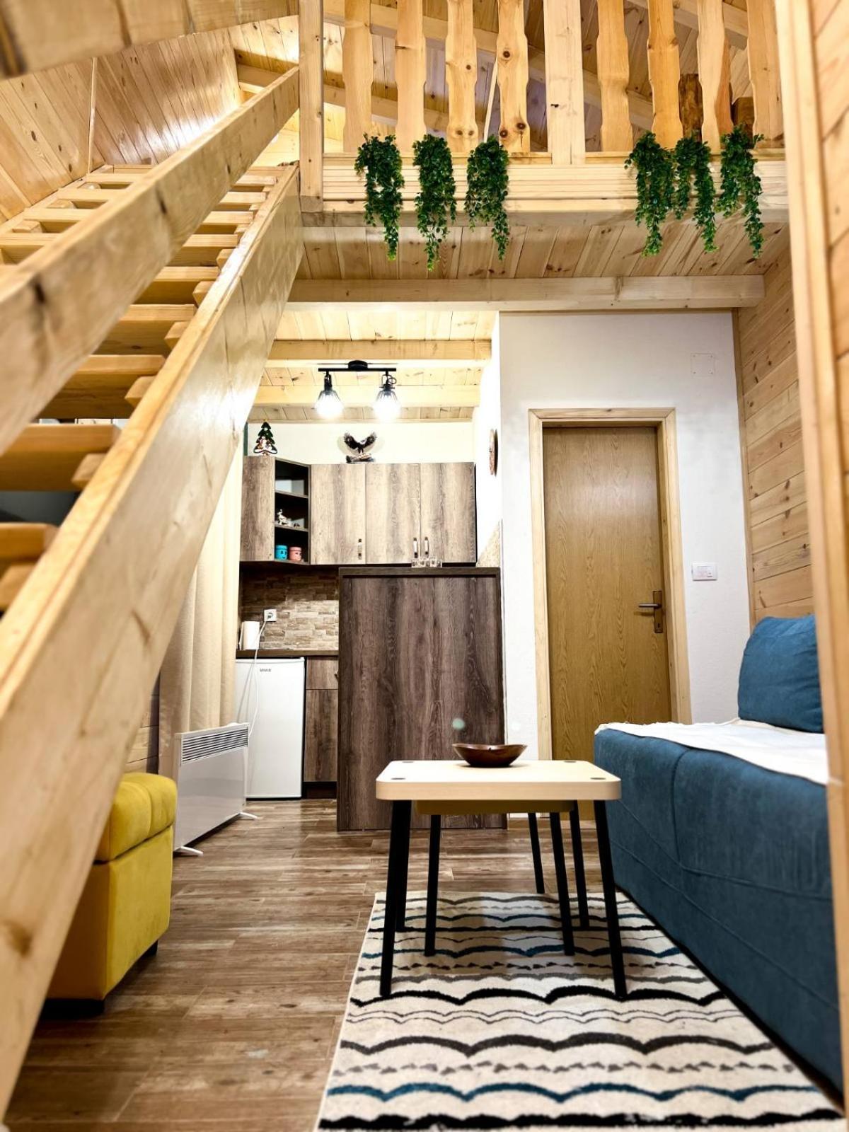 זבליאק Apartmani Bozana Vojinovic מראה חיצוני תמונה