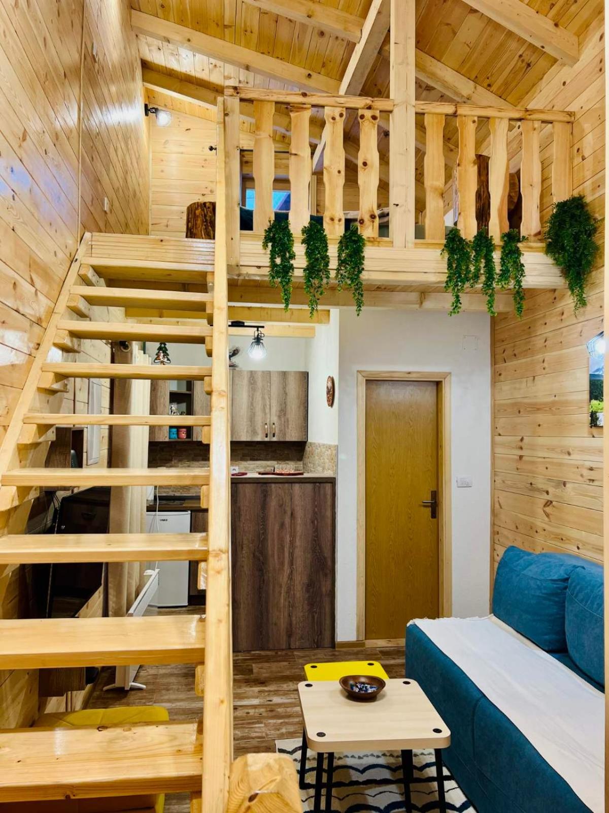 זבליאק Apartmani Bozana Vojinovic מראה חיצוני תמונה
